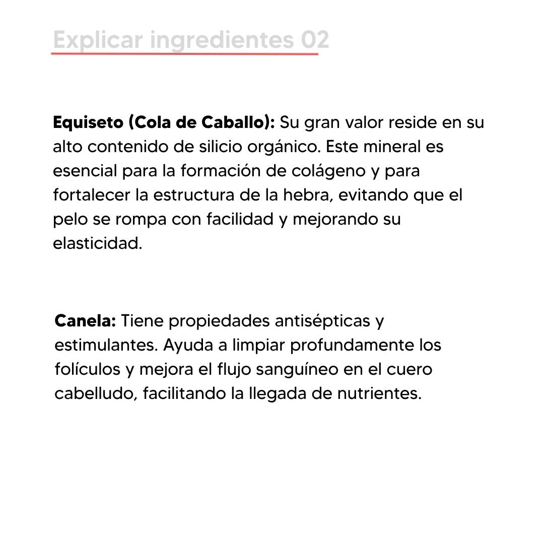 Shampoo Elixir Botánico N°1