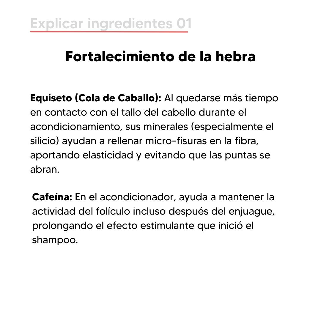 Acondicionador Elixir Botánico N°2