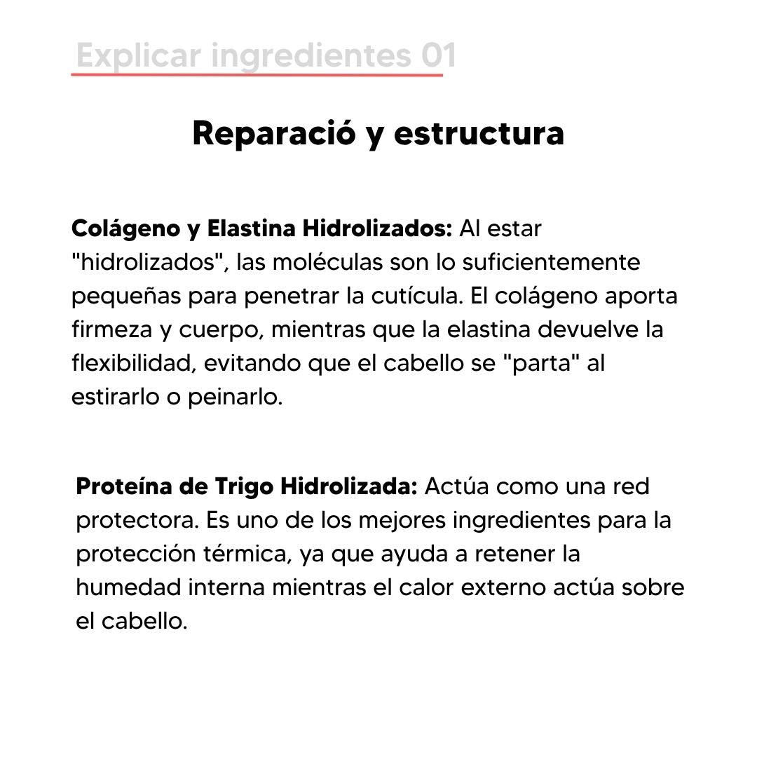 Termo Protector N°3