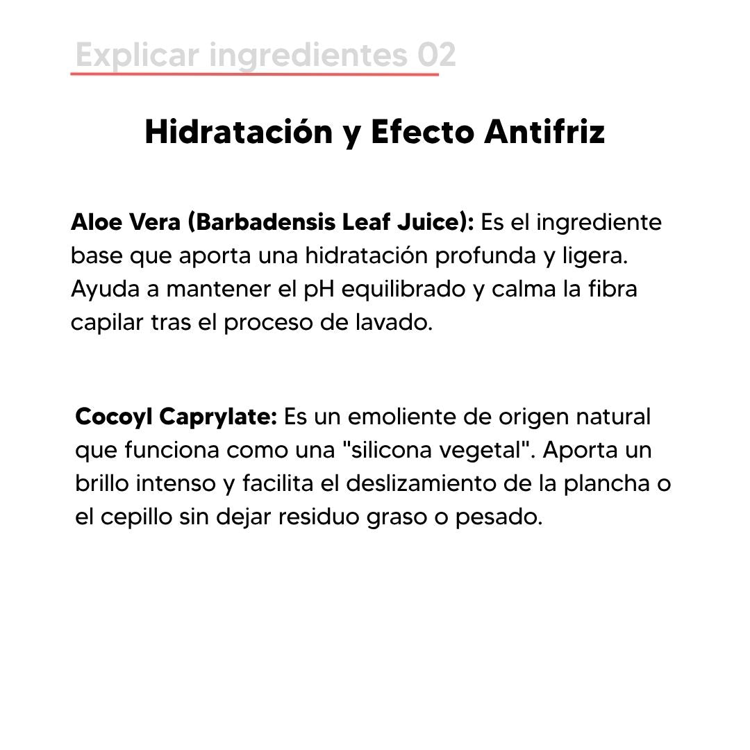 Termo Protector N°3